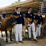 A Lemoore FFA team lines up before judging of replacement Heffers.